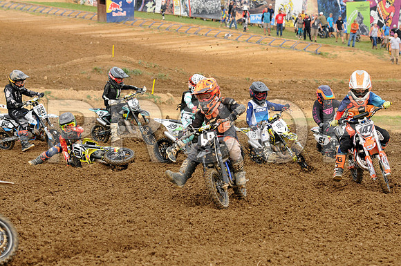 60 CIMINO 147 ORR