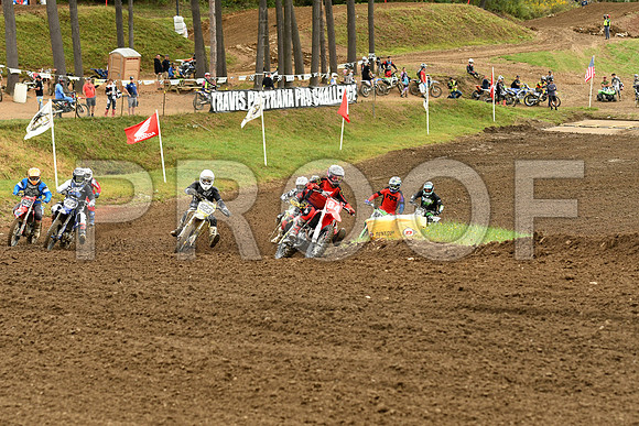 84 STANKUS 523 STRUBLE