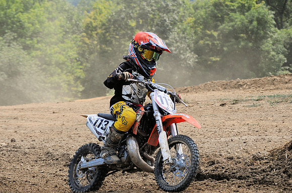 B. DOLFI
