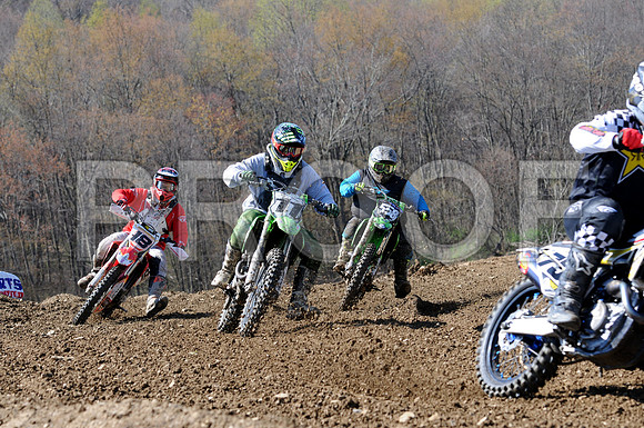 11 KANARKOWSKI 18 CEMPA 558 SHEFFLER