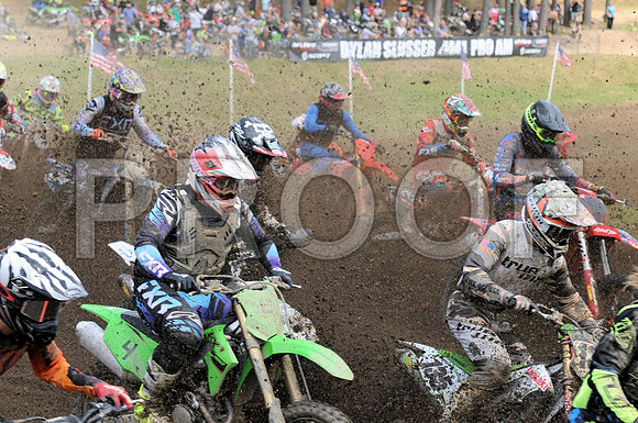 135 WELLS 4 SAELER 214 SQUIB