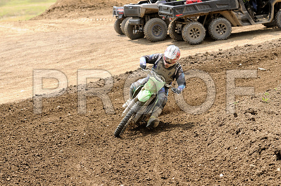 SAELER
