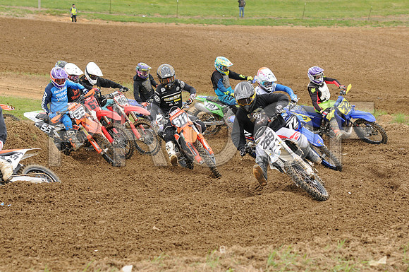 269 HAZEN 511 CLARK 56 CAUTHEN