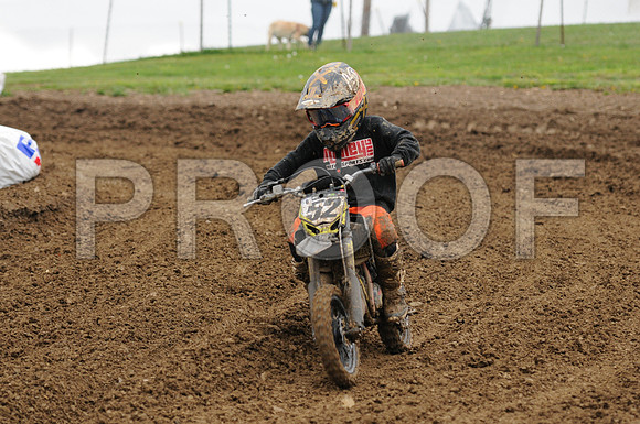PASTUREAU