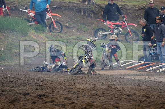 79 PALUMBO 52 PASTUREAU