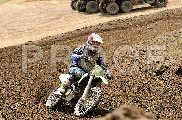 SAELER