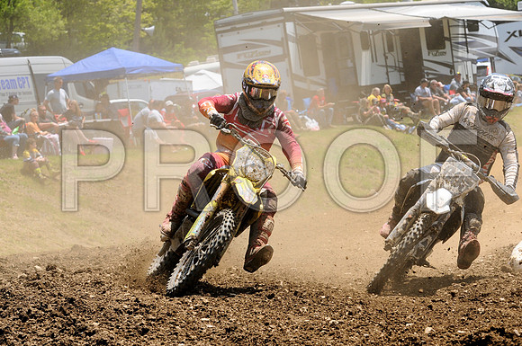 731 ROMAN 603 JACKSON