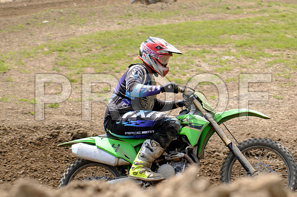 SAELER