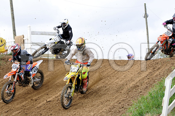 494 WHITTEN 731 ROMAN 89 ABEREGG