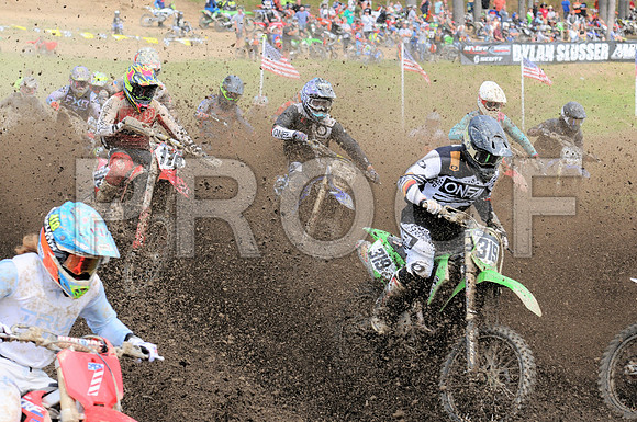 319 PATZ 179 RICHARD