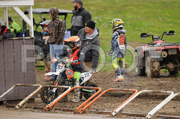 STEWART