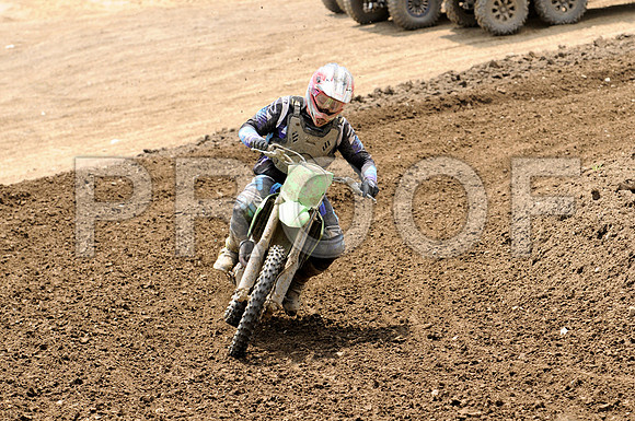 SAELER