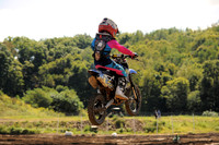 SANTE