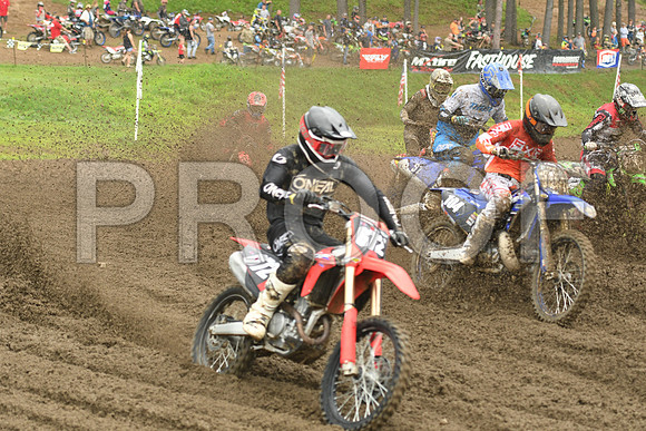 672 MORELLI 104 SHANK
