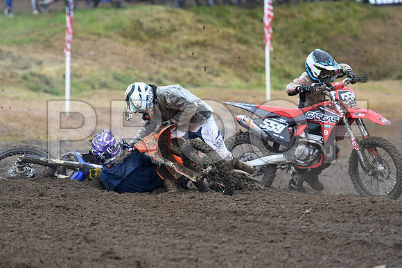 58 CLARK 559 SHIPLEY