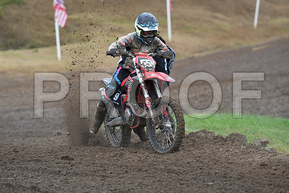 SHIPLEY