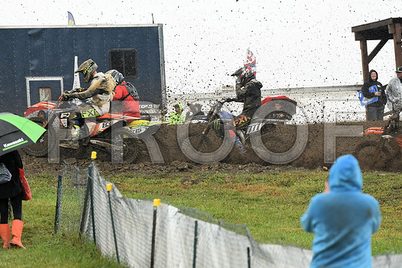 831  GLENN 215 INGRAM 777 HARRINGTON