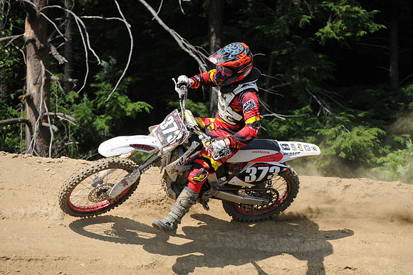 K. BEDNAR