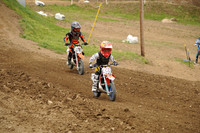599 SHIPLEY  611 SOKOL