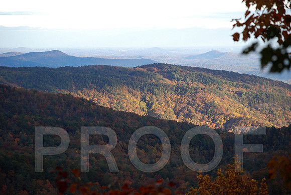 FALL VIEW
