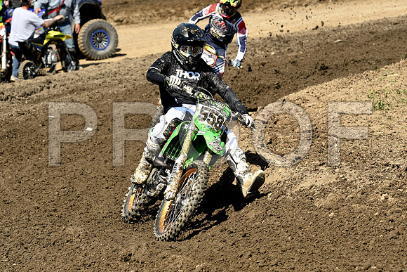 SHIPLEY