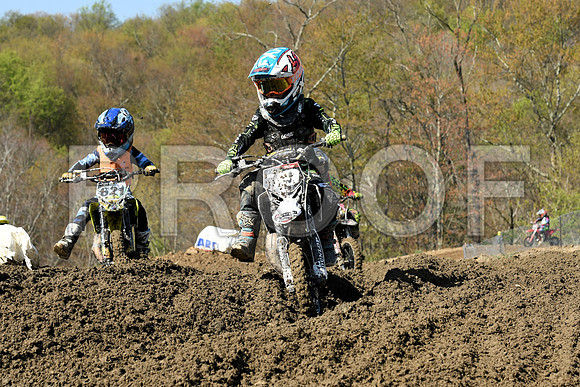 79 PALUMBO 621 SWARTFAGER
